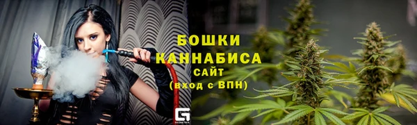 хмурый Медногорск