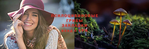 Альфа ПВП Михайлов