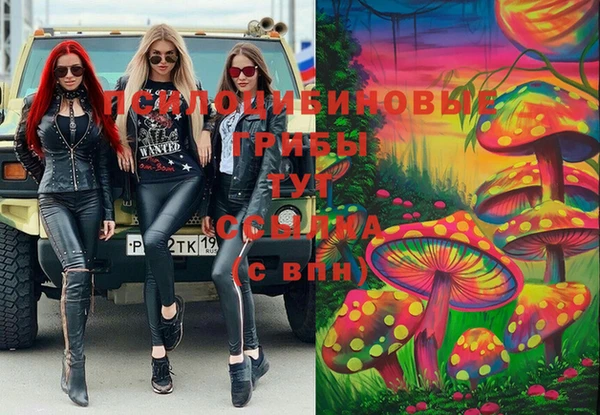 прущие крисы Мегион