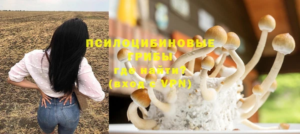 Альфа ПВП Михайлов