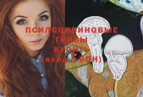 хмурый Медногорск